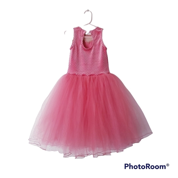 A WISH COME TRUE Gala Pink Ballet Leotard Tutu Dress Dance - Picture 3 of 15